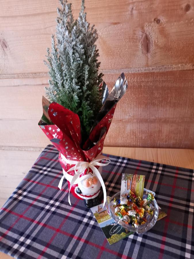 Pokoje Goscinne Pod Limbami Ciche Małe Eksteriør billede